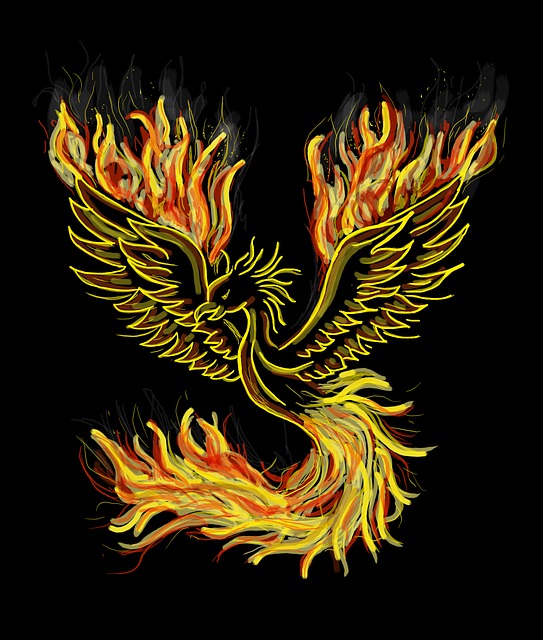 phoenix graphic